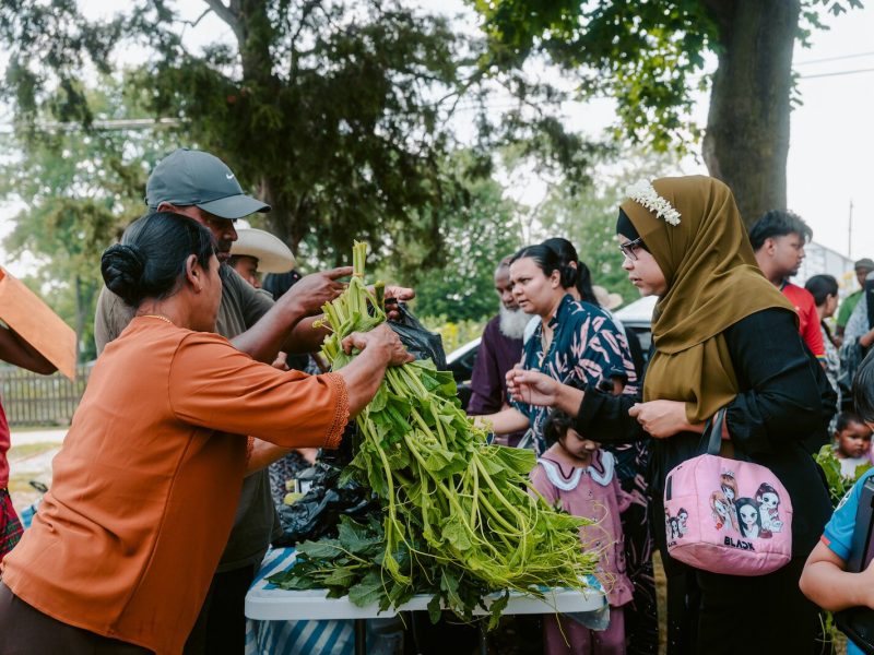 Local farmers bring a diverse variety of produce to the markets.