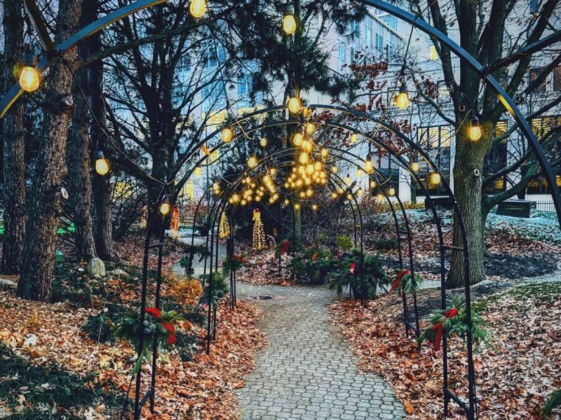 The Night Light Display at Foellinger-Freimann Botanical Conservatory is from 5 p.m. - 8 p.m. on Thursdays and Fridays from November 24 until December 22.