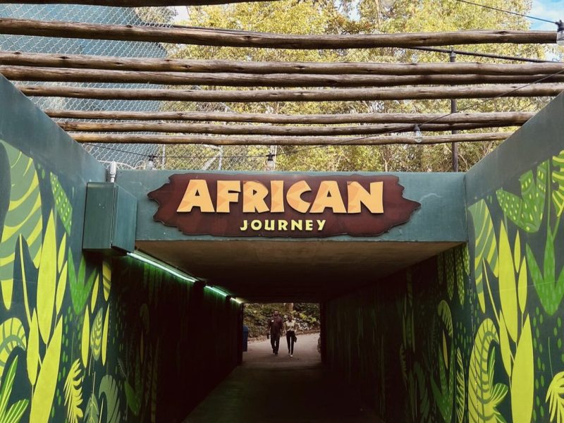 Next time you are at the Fort Wayne Children’s Zoo, take in the sights and sounds of the African continent.