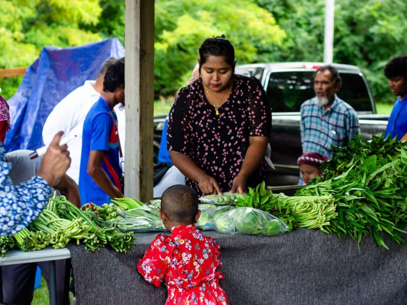Healthy Eating Active Living (HEAL) Markets gives Allen County residents opportunities to shop for fresh foods in areas lacking food access.