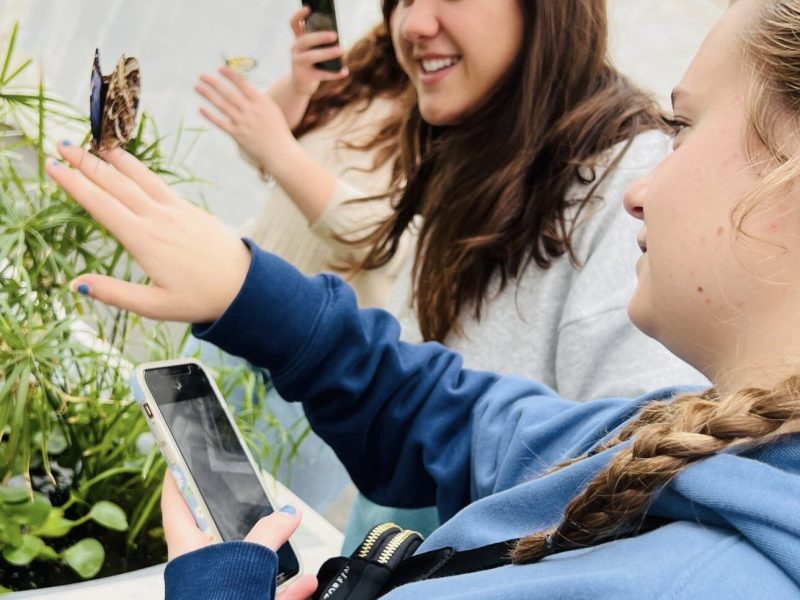 Visitors enjoy the live butterfly exhibit at Foellinger-Freimann Botanical Conservatory.