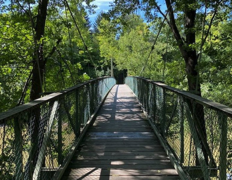 The Input Street Team pays a visit to Foster Park at 3900 Old Mill Rd.