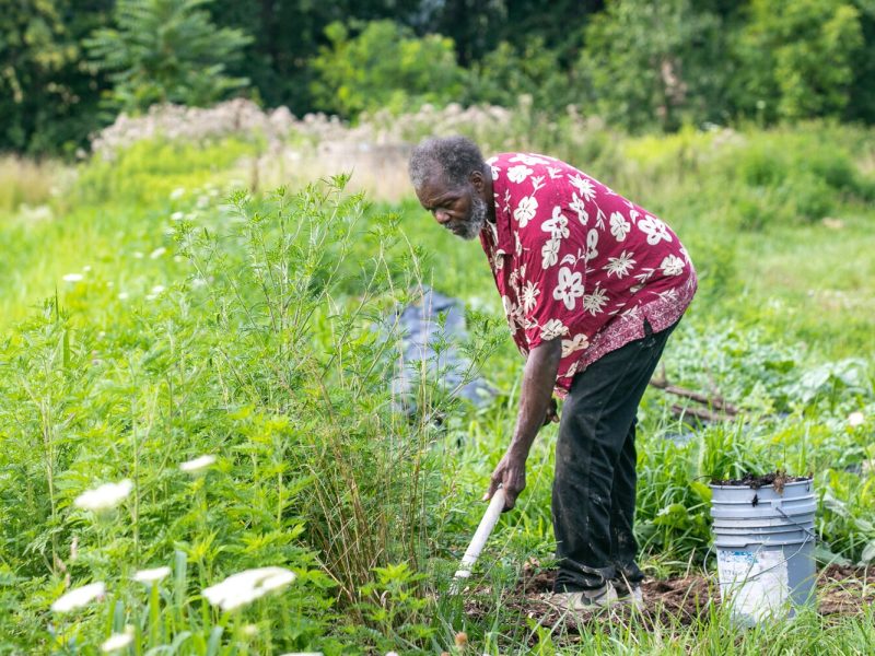 Ephraim Smiley of Smiley’s Garden Angels has been farming for more than 25 years.