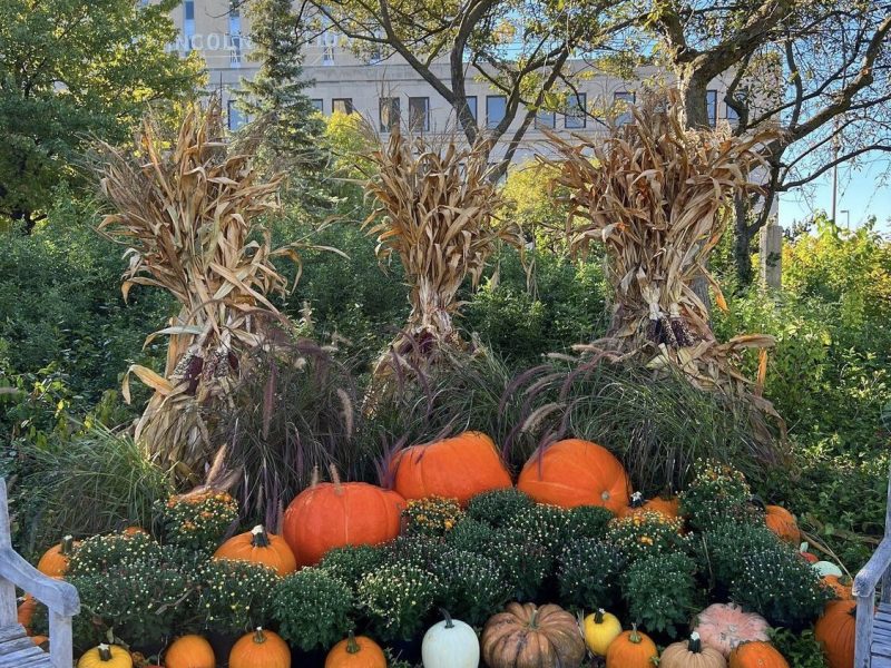 The Pumpkin Path Display is now open at the Botanical Conservatory.