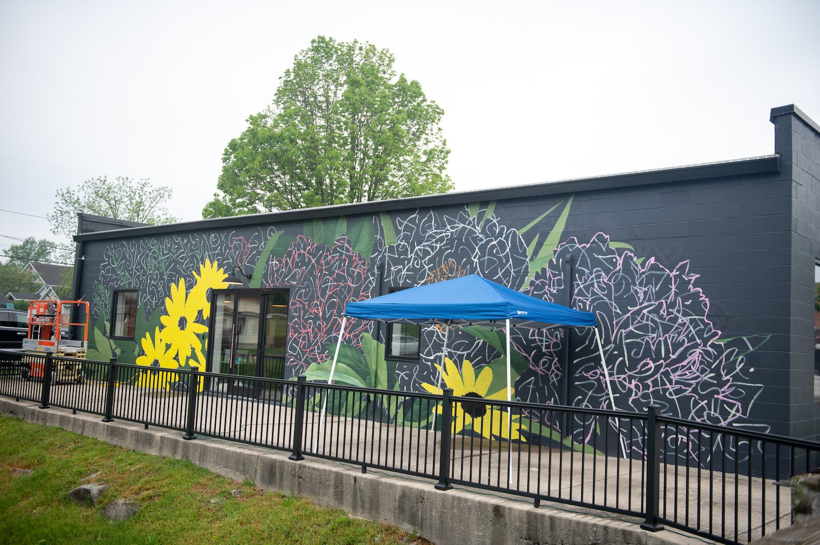 Muralist Louise 'Ouizi' Jones painted the side of Reusser, a digital agency located at 150 S. Main St. in Roanoke.