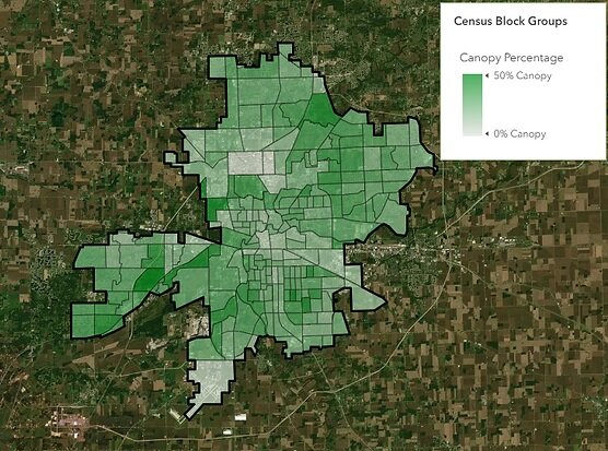 Fort Wayne has lost 6 percent of its tree canopy cover during the last decade. The Tree Canopy Growth Fund hopes to reverse this trend.