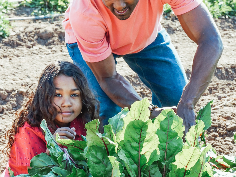 For centuries, Black-owned farms have played a key role in how Black Americans have forged their own identities, independence, wealth, health, and wellbeing amidst systems designed to repress them.
