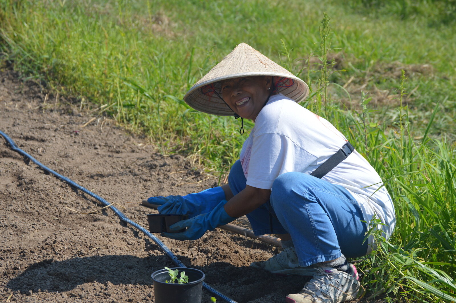 Farmers tend the land at the Rose Avenue Education Farm at 501 Rose Ave. in New Haven.
