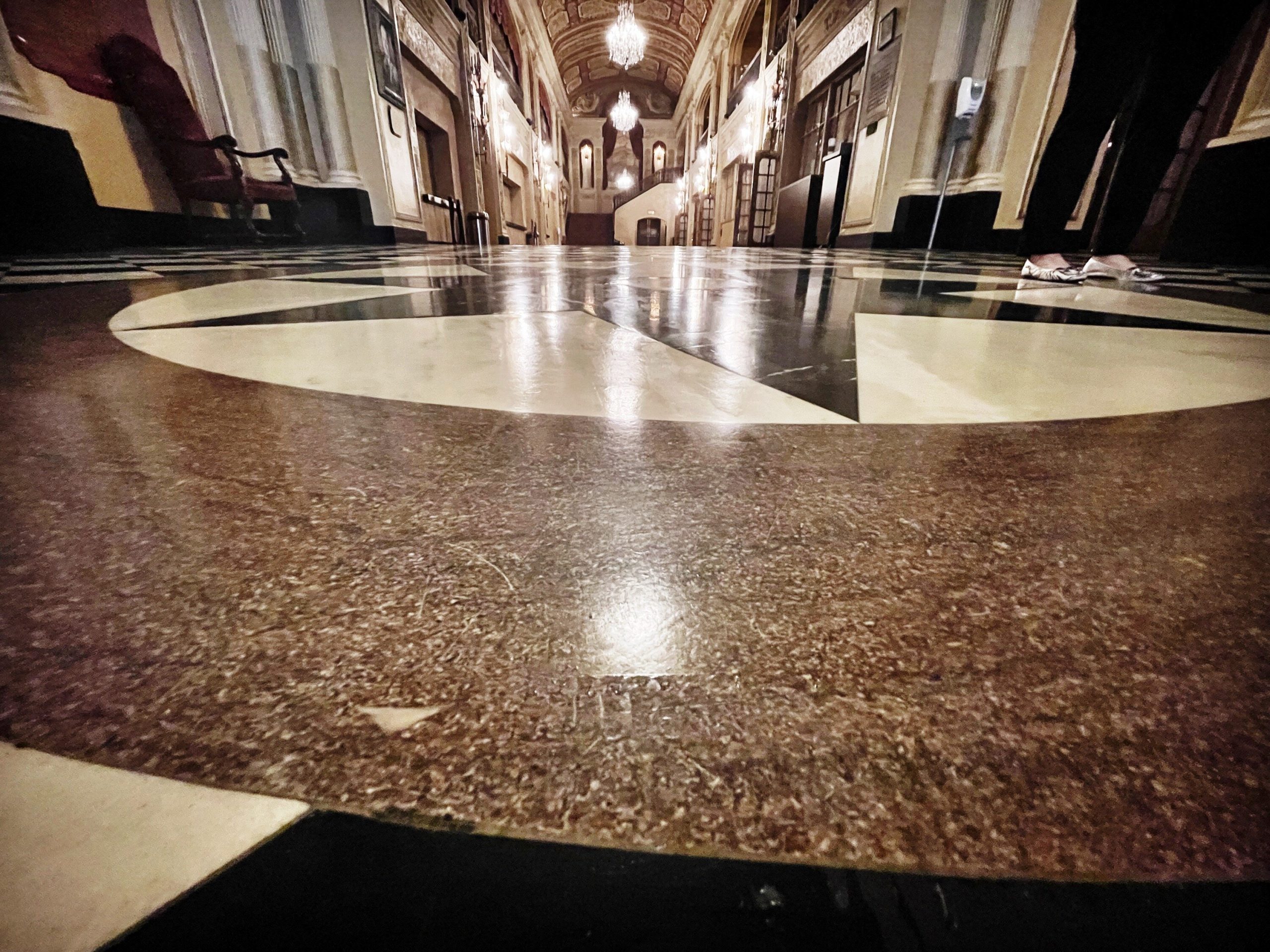 A small white chip in the Embassy's compass Rose indicates true North.