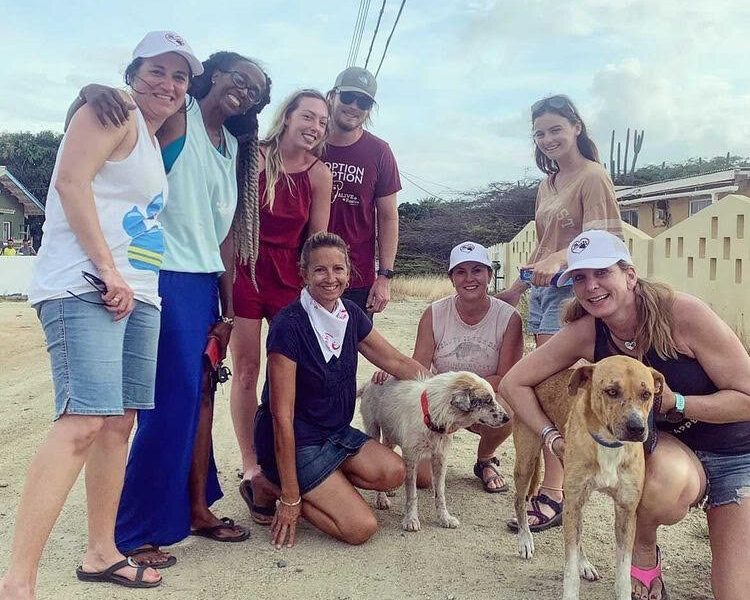 SAYv Animal Organization is a start-up animal welfare organization focused in Fort Wayne and Chicago.