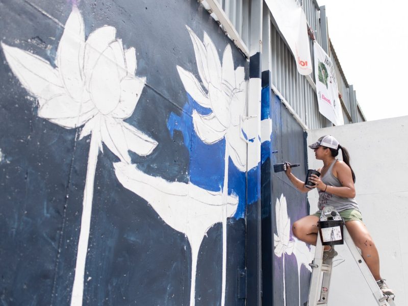 Nancy Fritz works on her mural during "Elevation. A Summit City Mural Showcase" on the 2400 block of Central Dr. in Fort Wayne.