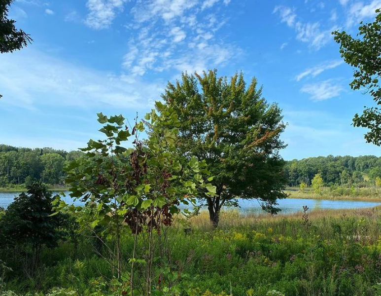 This week's #PlacesofNEI feature is the Trine State Recreation Area in Angola.