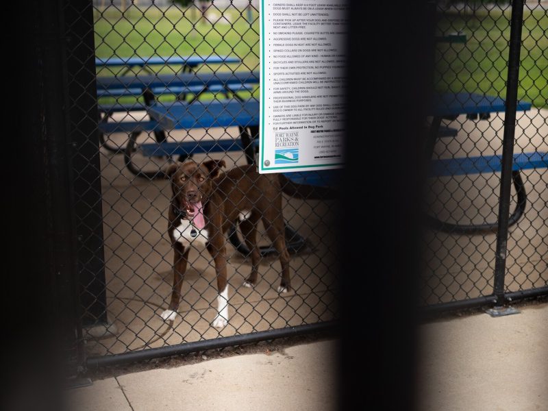Johnny Appleseed Campground offers a members-only dog park.