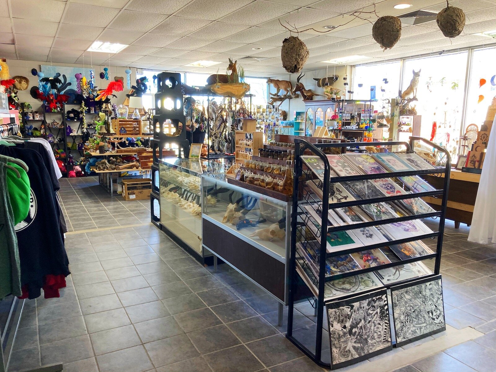 Fae's Cabinet has a new 5,400-square-foot space.