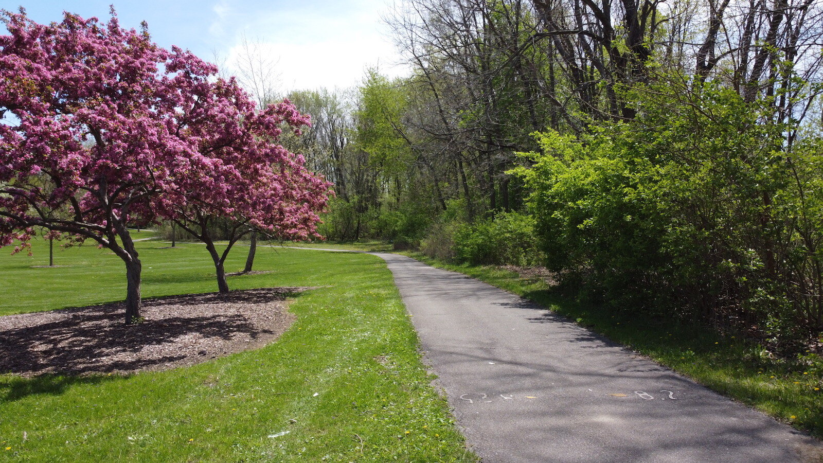There are more than 100 miles of trails in Allen County.