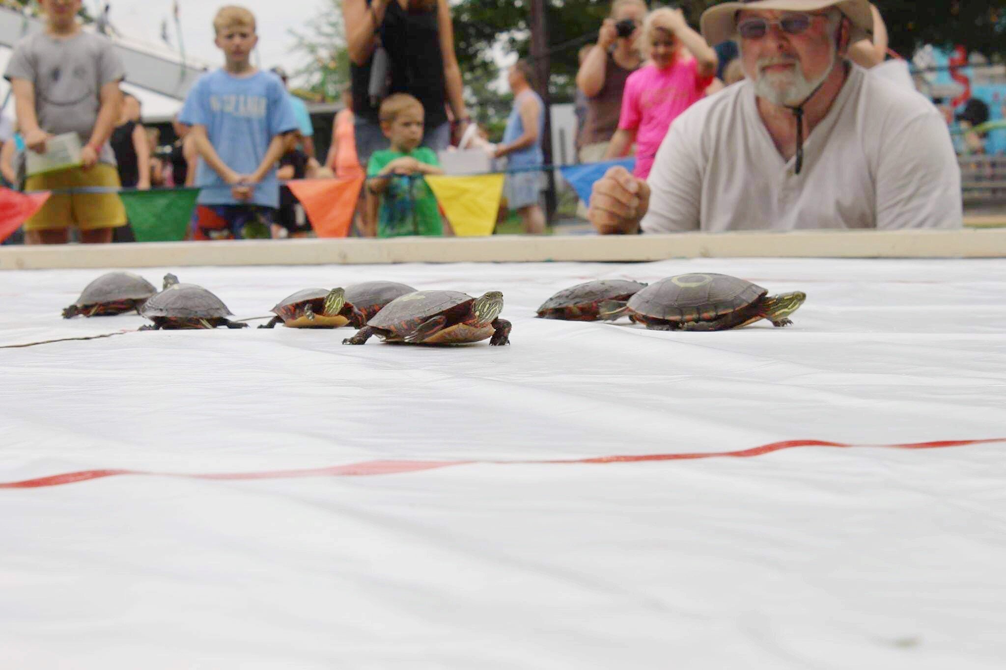 A Turtle Race at the Turtle Days Festival in Churubusco pre-COVID-19.