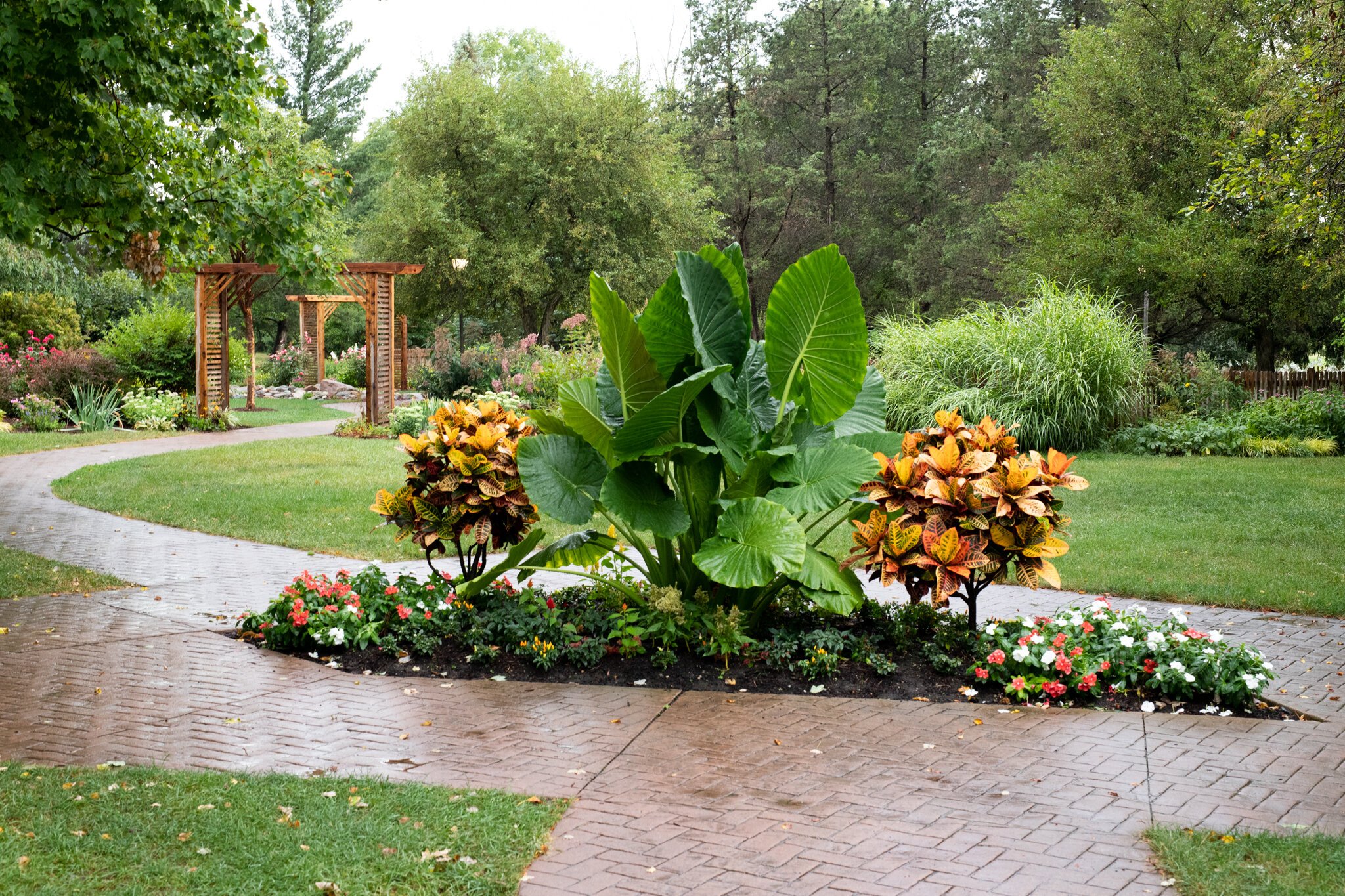 Stroll the gardens at Foster Park.