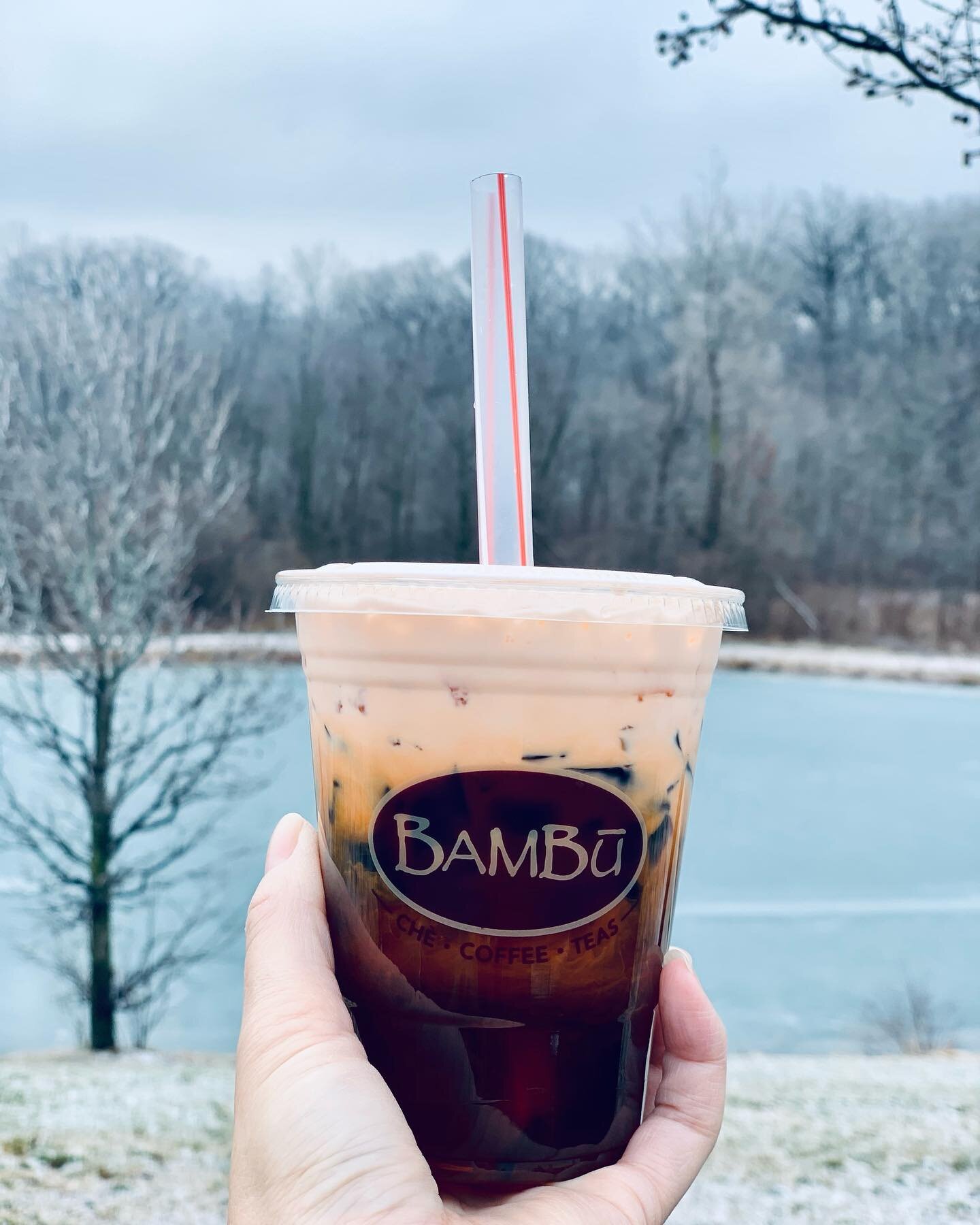 Bambu is bringing Vietnamese drink called chè to Fort Wayne.