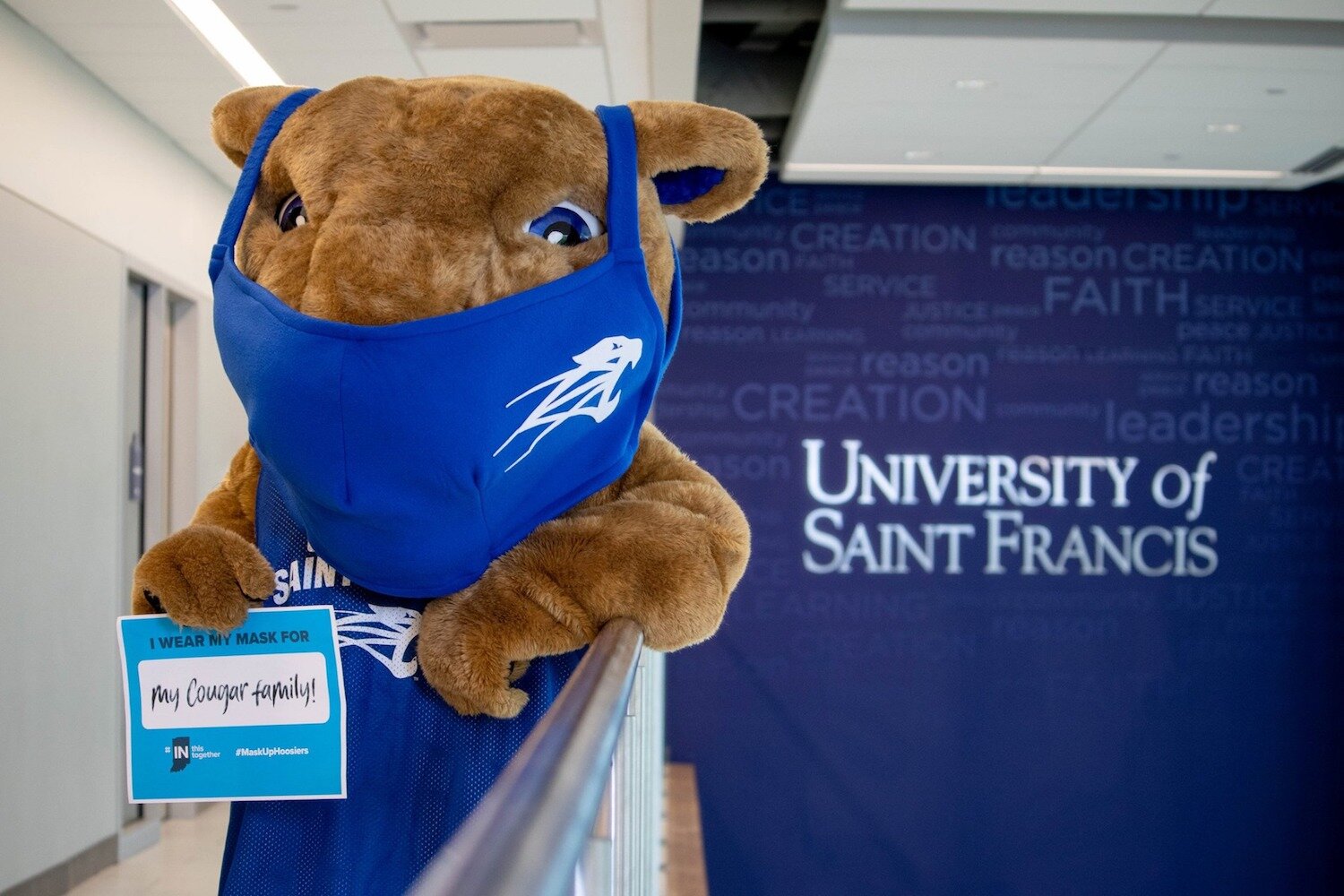 The University of St. Francis Cougar masks up during COVID-19.