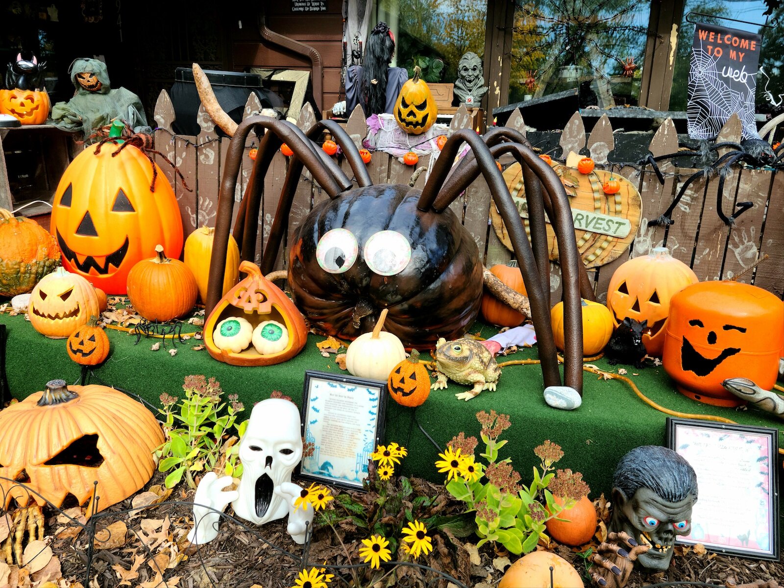 The centerpiece of the display in 2020 is a 200-pound pumpkin spider.