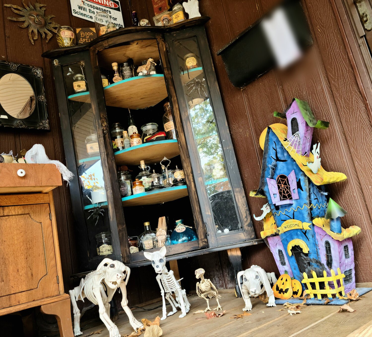 Skeleton critters mirror the dogs that Morse and his wife actually own: A Chihuahua, a Beagle, and a dachshund.