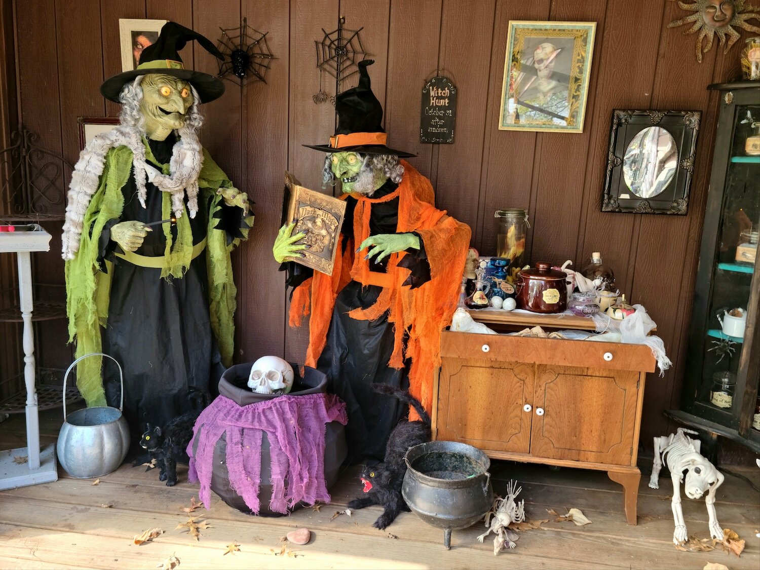 Witches and skeletons take over the Morse's yard and house during the Halloween season.