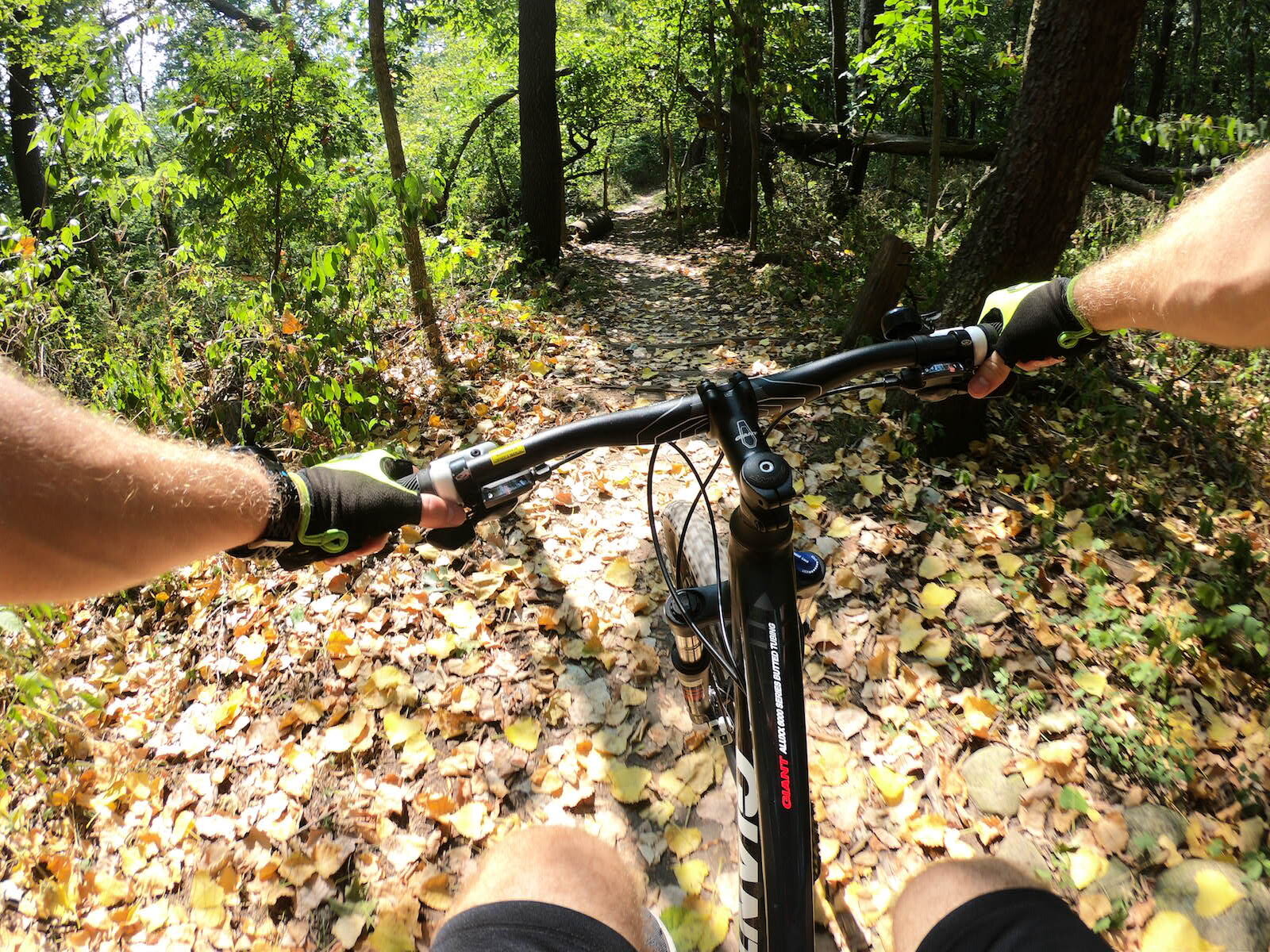 Eight-plus miles of singletrack mountain biking trails connect to Grace College.