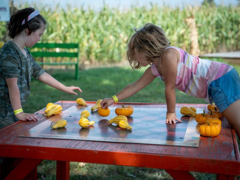 Children enjoy pumpkin checkers at Amazing Fall Fun in Waterloo.