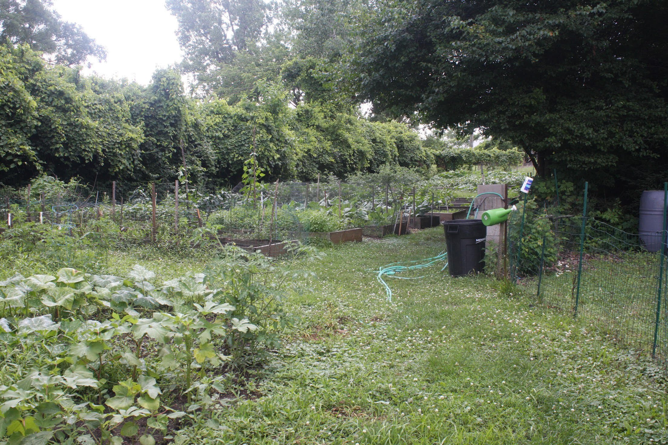 Fresh produce growing in Southeast Fort Wayne.