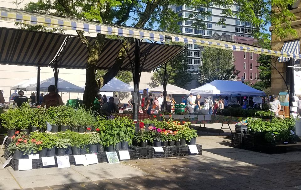 The YLNI Farmers Market opened two weeks later than usual this year during COVID-19.