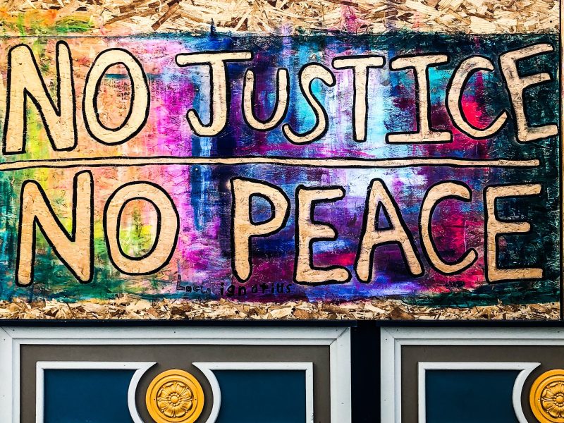 Alyssum Montessori School transformed its broken windows into murals supporting a nonviolent protest.