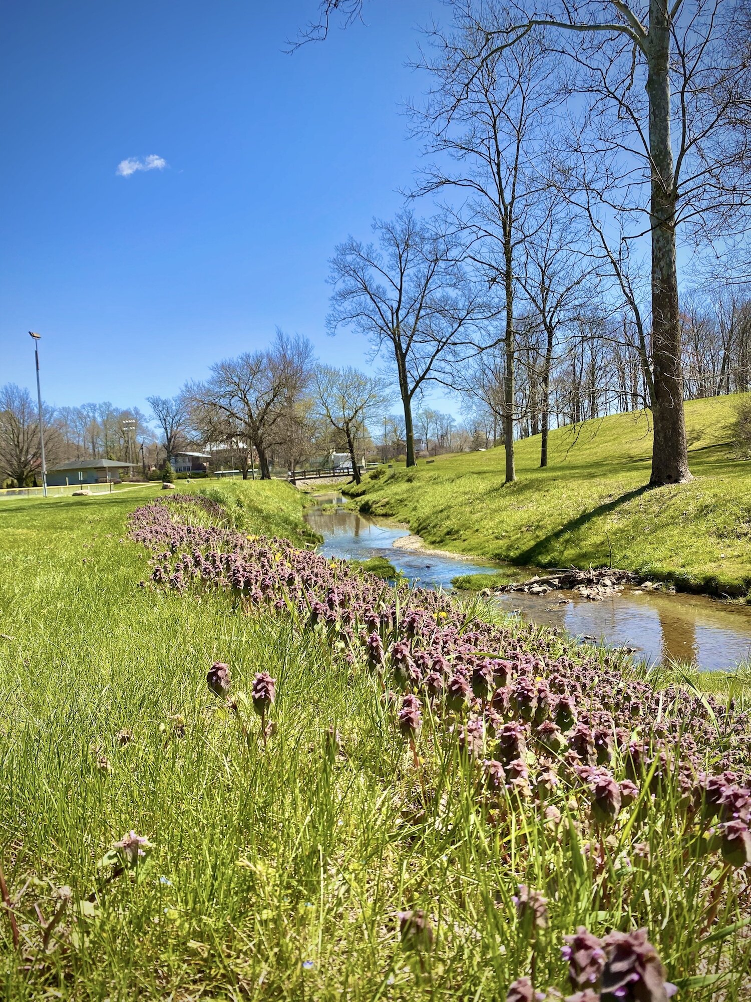 Taking a walk in Roanoke Park is one way team members are staying healthy during quarantine.