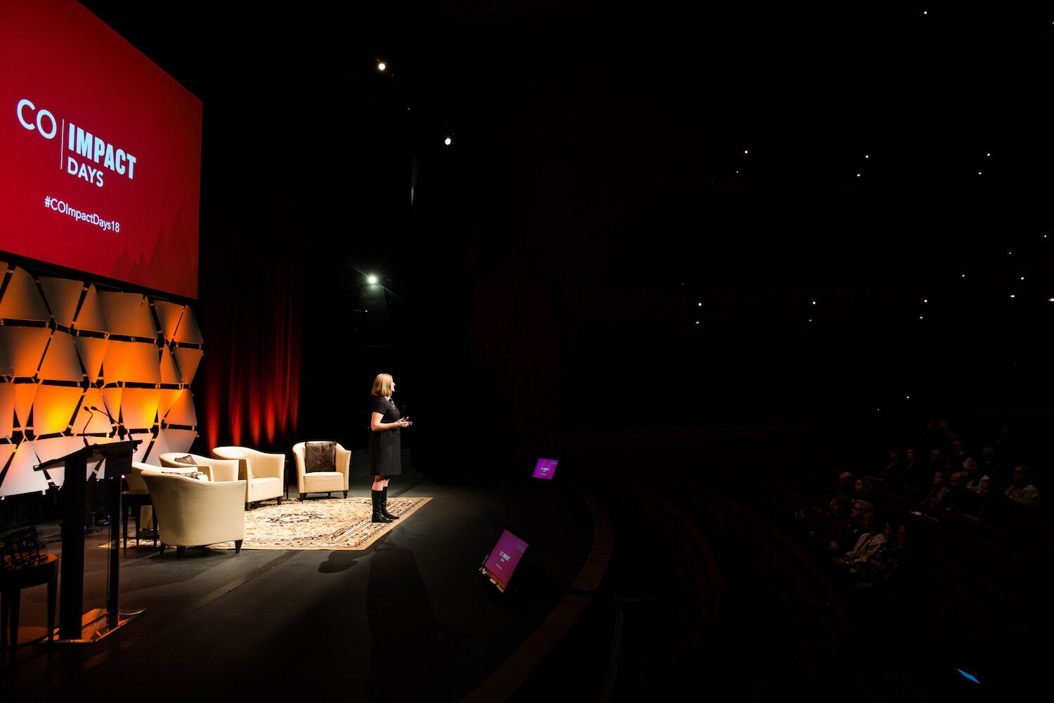 Gripne speaks to a crowd of potential impact investors at the IFC's biannual CO Impact Days event.