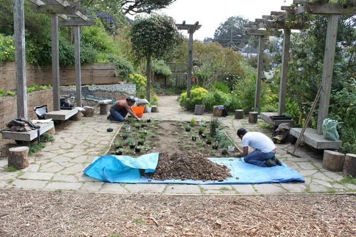 Robinson helped plant urban gardens in San Francisco.