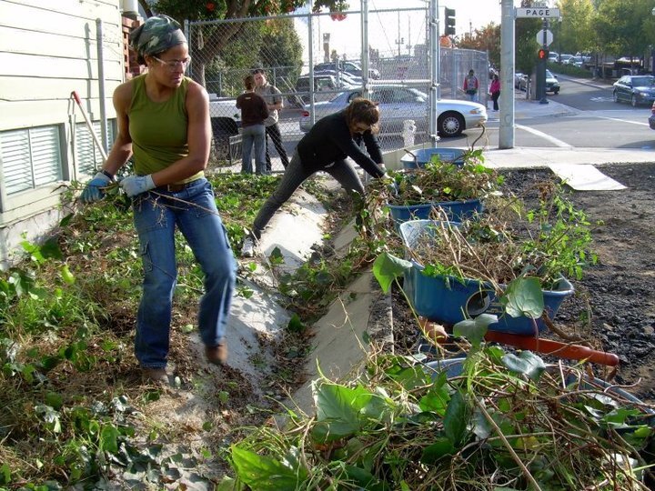 Robinson works on an urban garden in San Francisco.