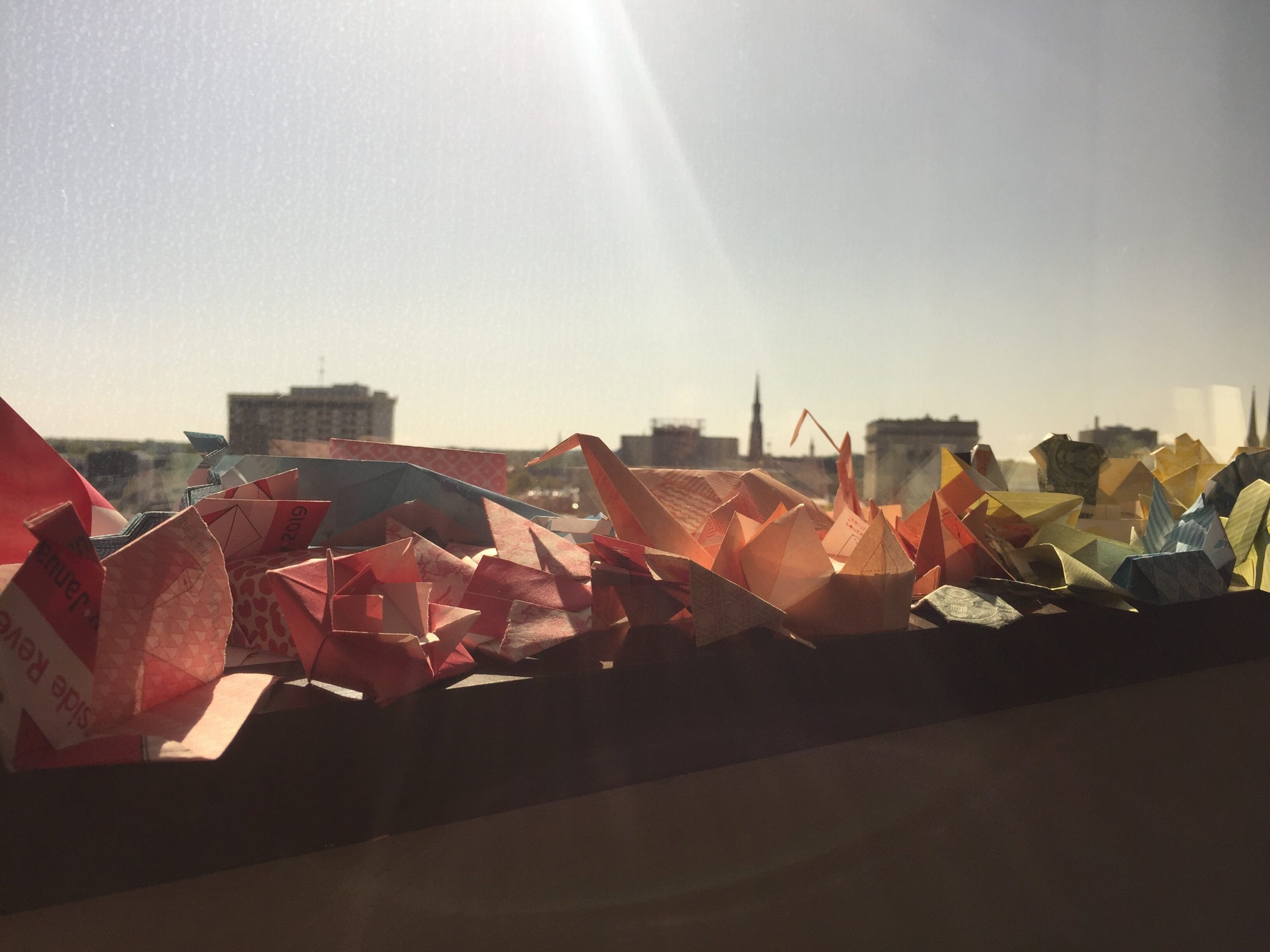 Robinson made it her goal to make one piece of origami every day in 2019.