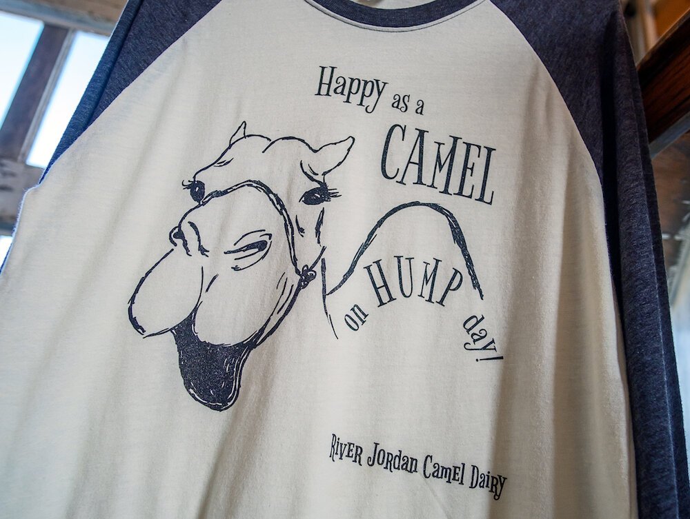 Hump Day t-shirts are available at the Dairy Farm shop.