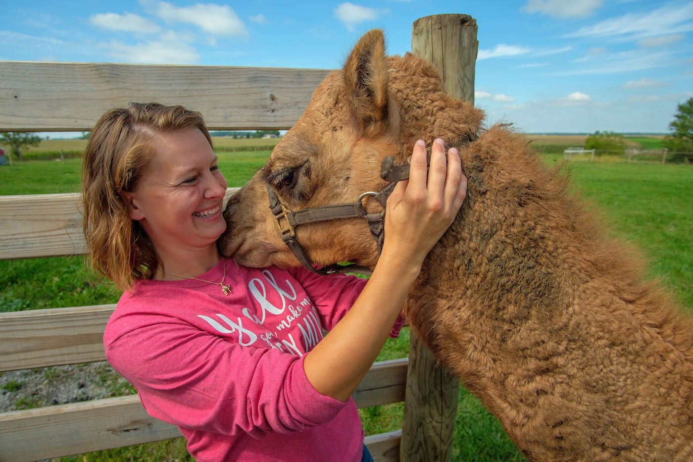 Jericho the camel with Amber.