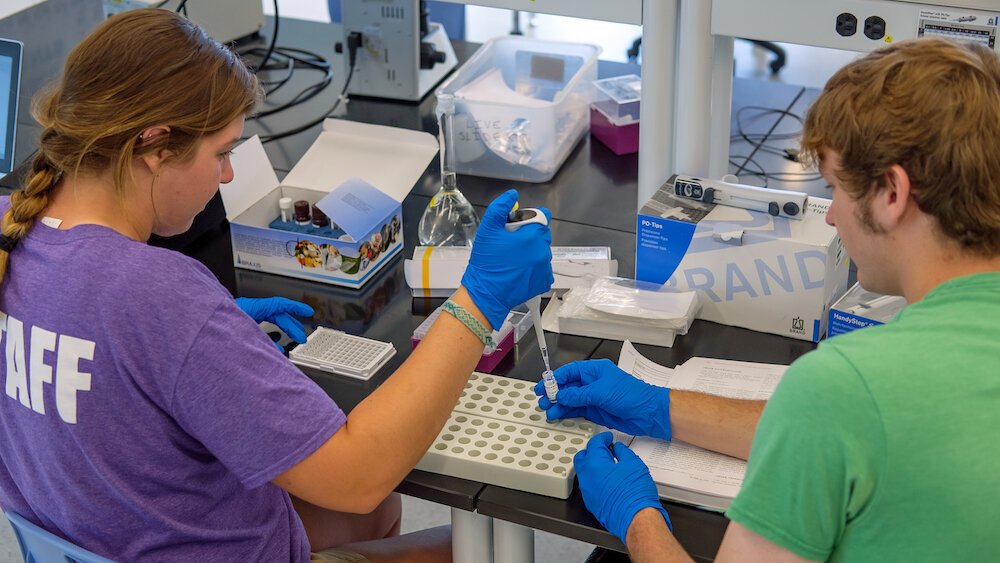Grace College students get experience running local water quality tests.