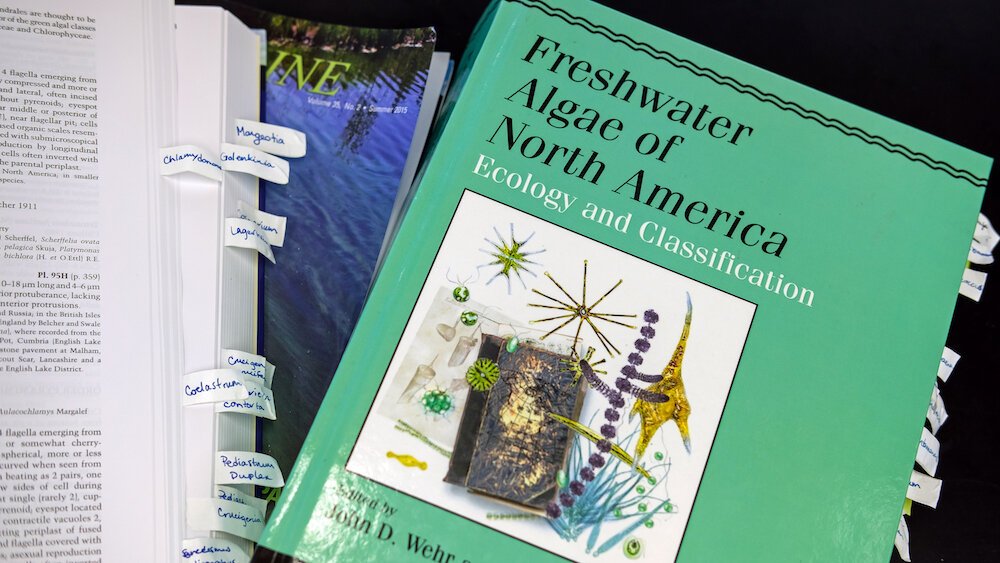 Textbooks and lessons help students learn about the complex role algae plays in natural water systems.