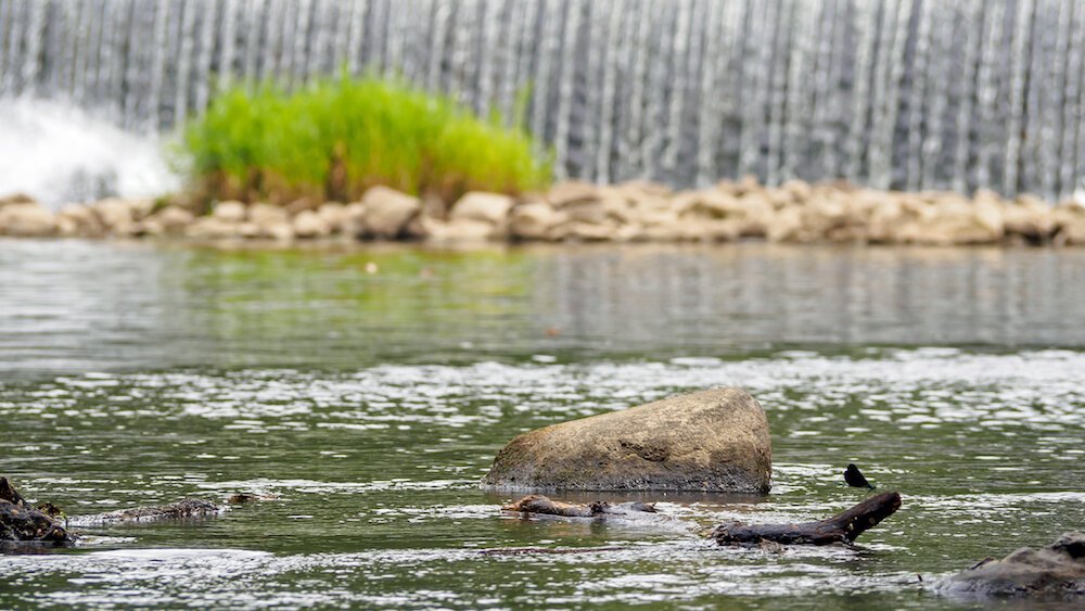 Collamer Dam at Eel River near South Whitley.