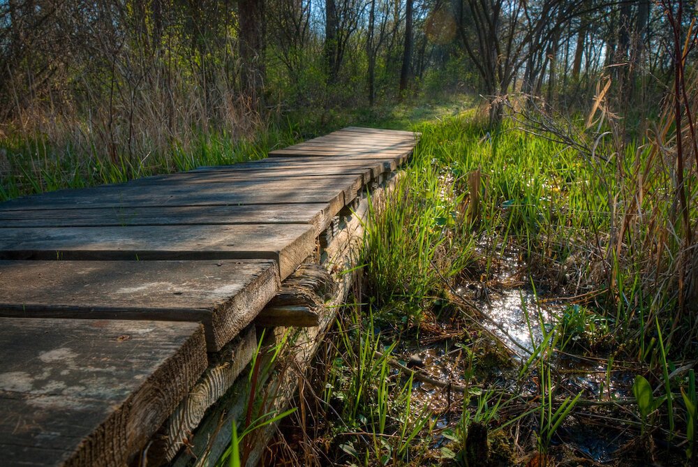 Beechwood Nature Preserve is one of ACRES's properties in Fremont, Ind.