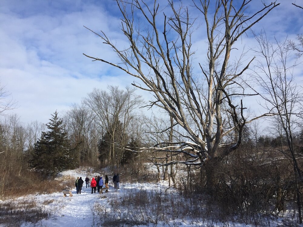 ACRES hosts hikes for members through its nature preserves.