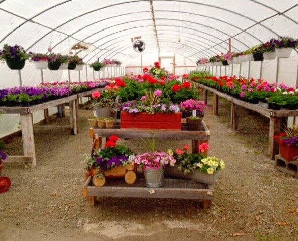 Flowers are in season at Gebhart’s Floral Barn and Greenhouse.