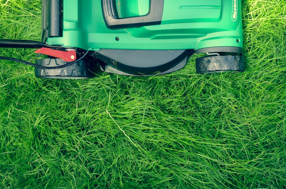 Leave grass clippings on your lawn when you mow.