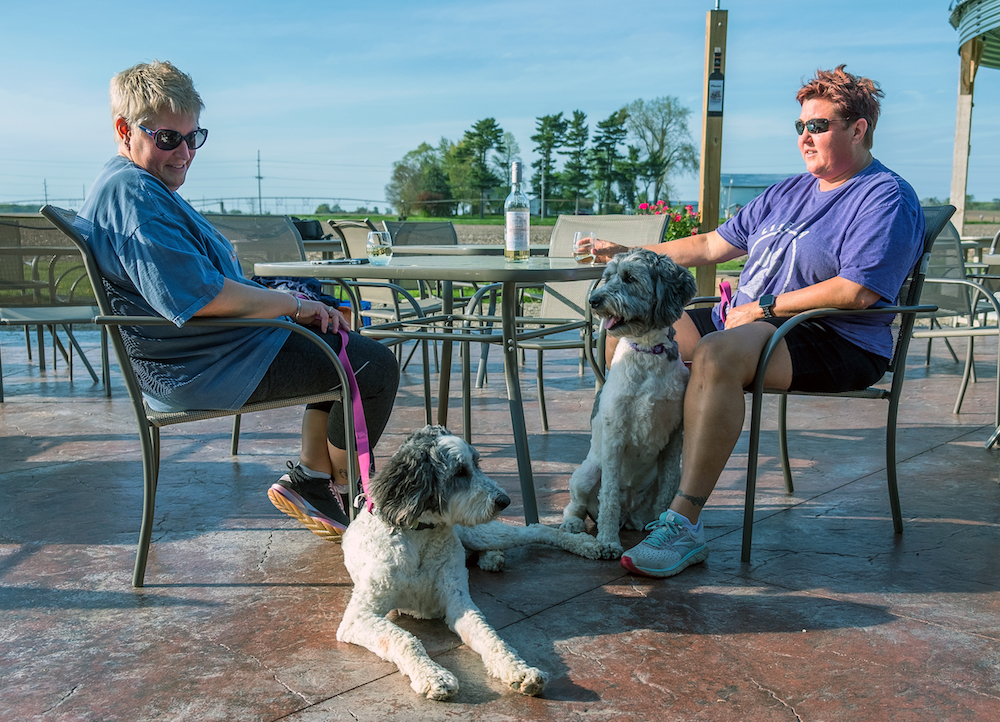 Tippy Creek Winery's patio is pet friendly.