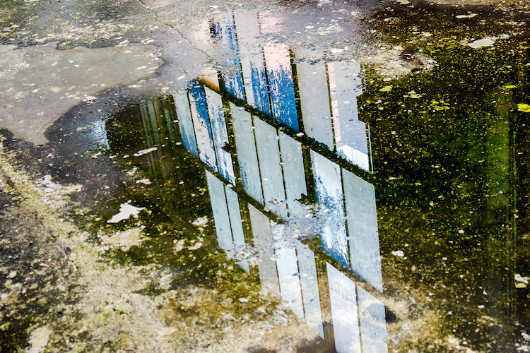 Parts of the old General Electric campus have sat empty for decades.