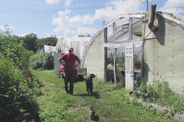 Dan outside one of the greenhouses on his farm.