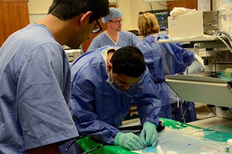 Observation is an important part of the training process.