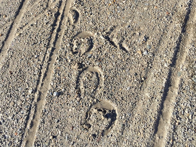 Hoofprints of Amish buggies in the parking lot outside Heartland Mattress.
